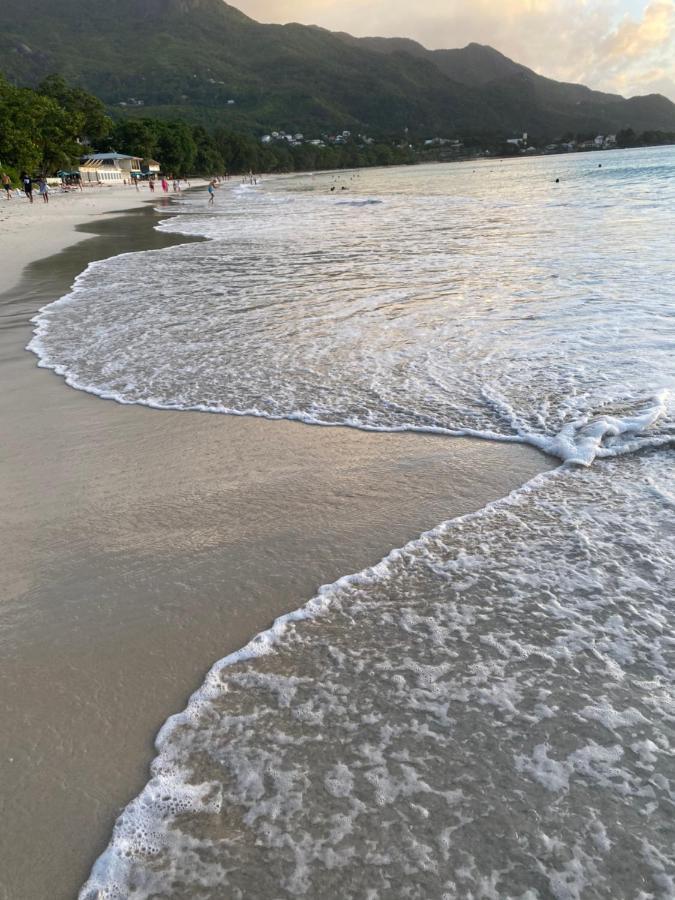 Flower Garden Self-Catering Apartments Beau Vallon  Extérieur photo