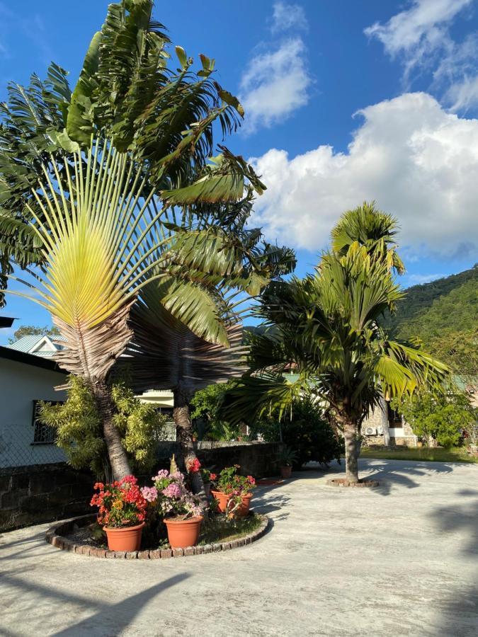 Flower Garden Self-Catering Apartments Beau Vallon  Extérieur photo