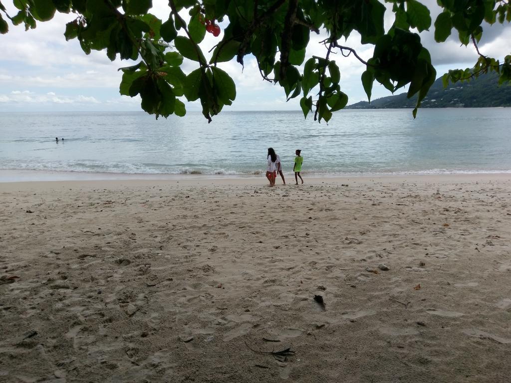 Flower Garden Self-Catering Apartments Beau Vallon  Extérieur photo