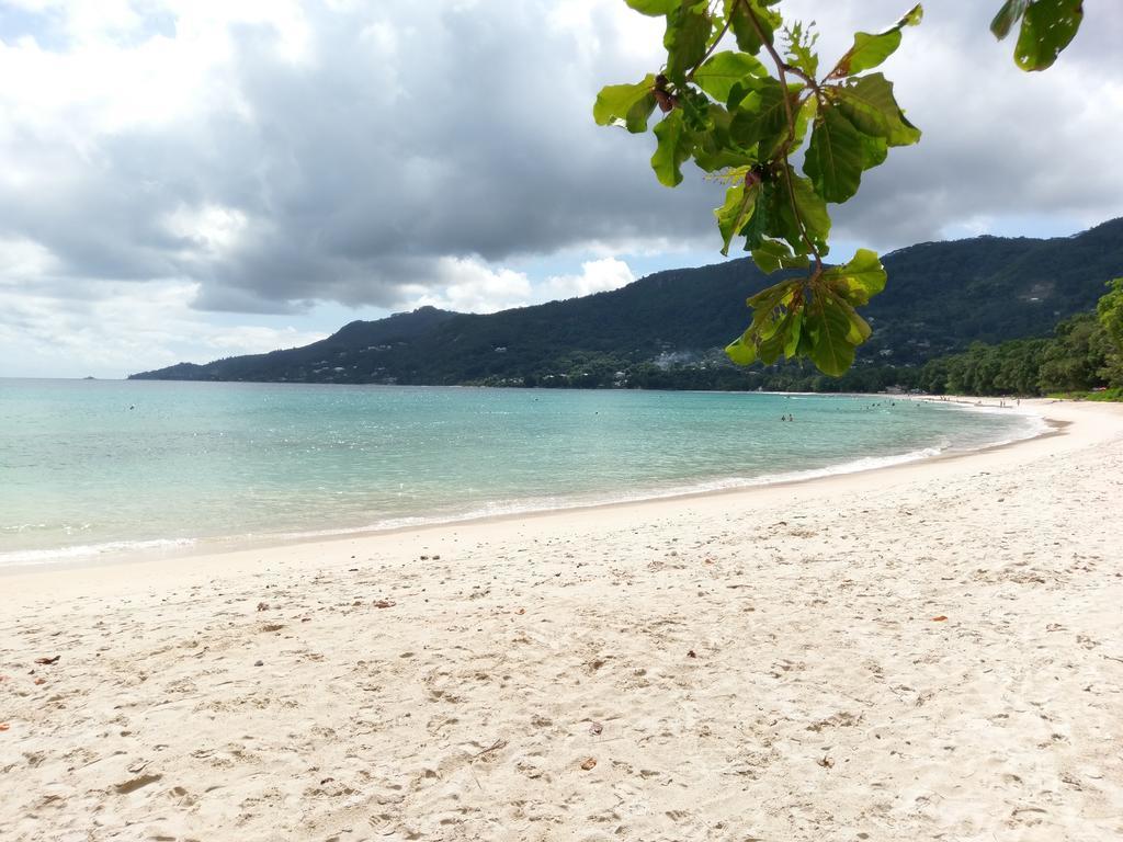 Flower Garden Self-Catering Apartments Beau Vallon  Extérieur photo