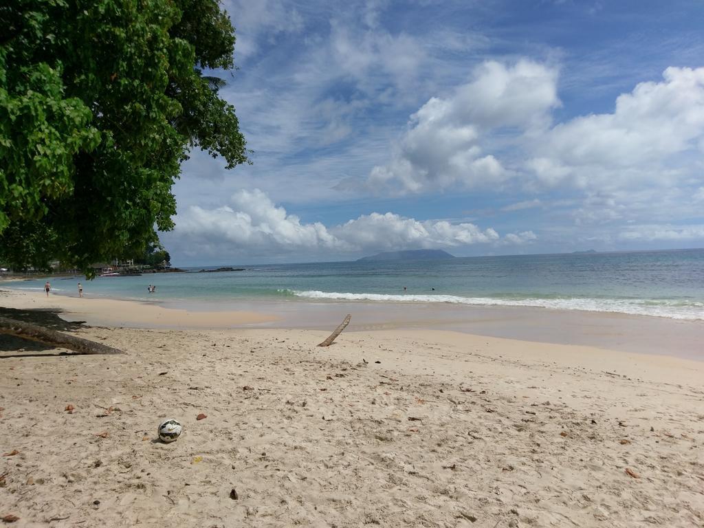 Flower Garden Self-Catering Apartments Beau Vallon  Extérieur photo