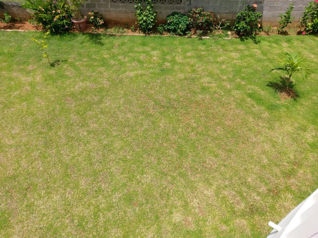 Flower Garden Self-Catering Apartments Beau Vallon  Extérieur photo