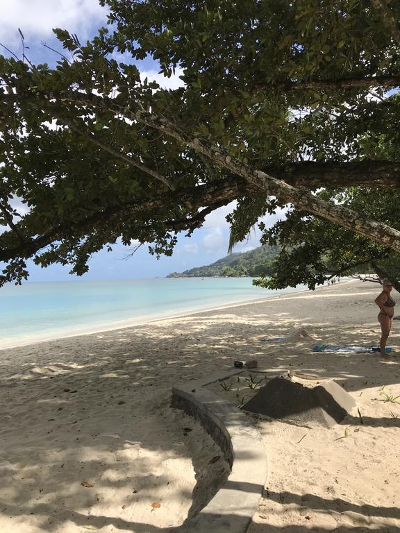 Flower Garden Self-Catering Apartments Beau Vallon  Extérieur photo