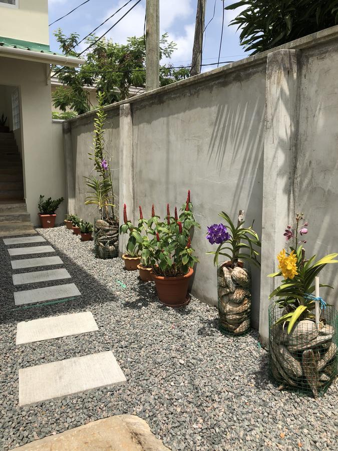 Flower Garden Self-Catering Apartments Beau Vallon  Extérieur photo