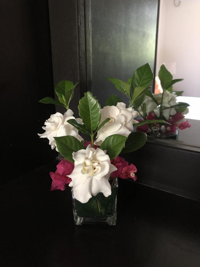 Flower Garden Self-Catering Apartments Beau Vallon  Extérieur photo
