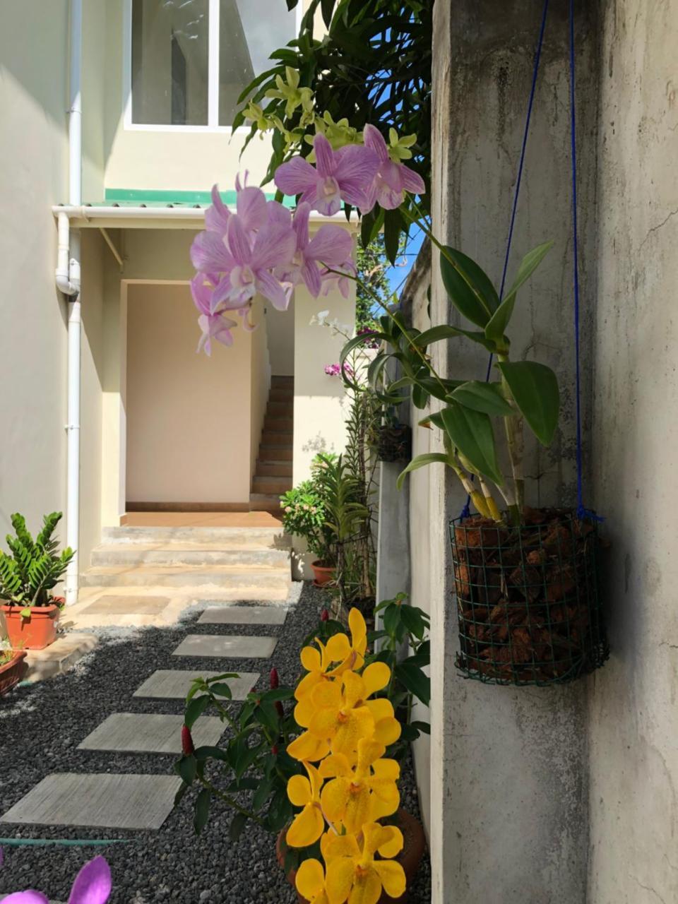 Flower Garden Self-Catering Apartments Beau Vallon  Extérieur photo
