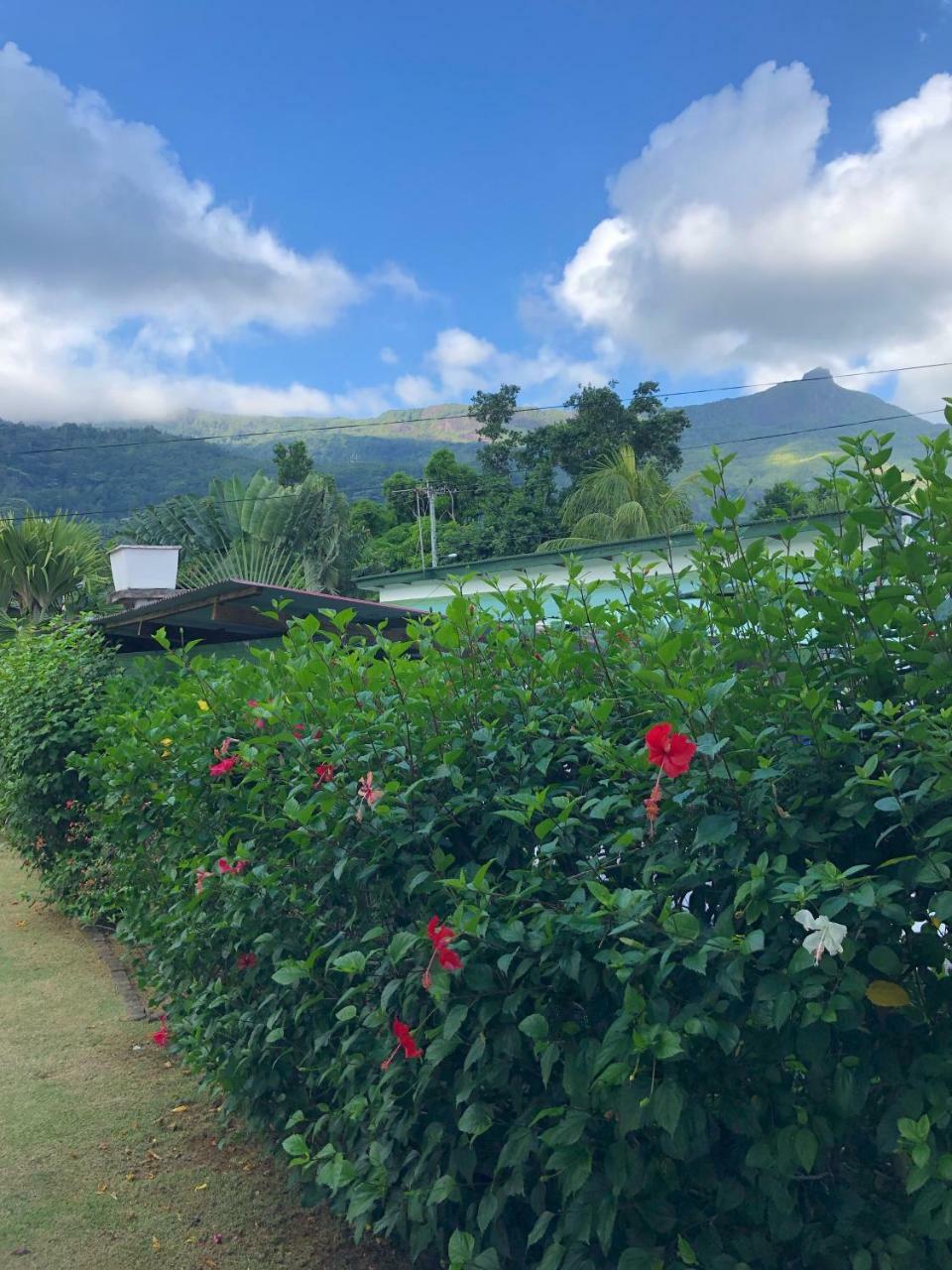 Flower Garden Self-Catering Apartments Beau Vallon  Extérieur photo